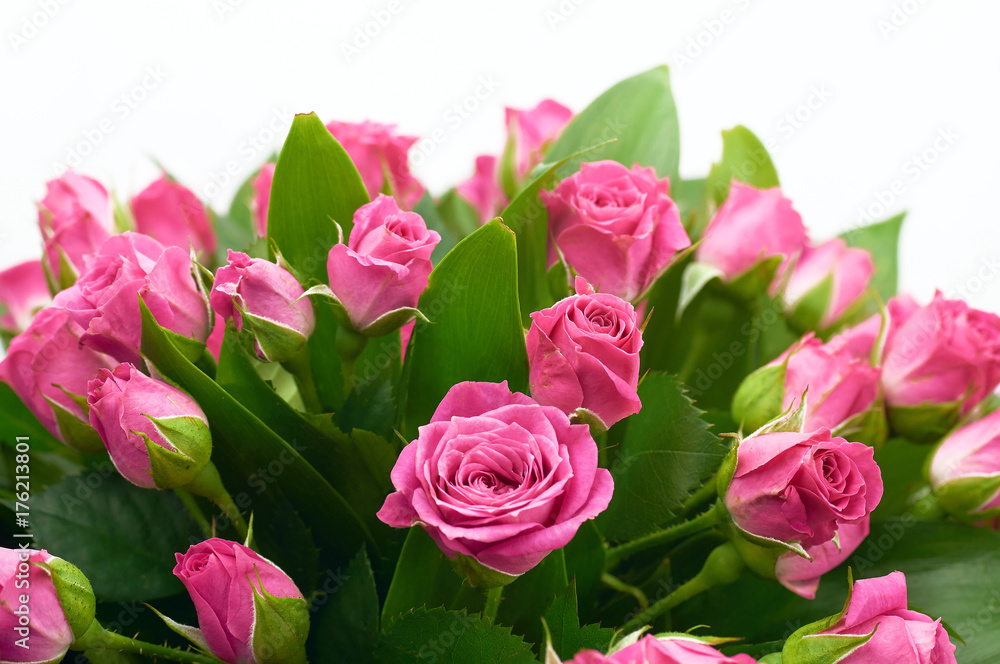 bouquet of roses bouquet of roses