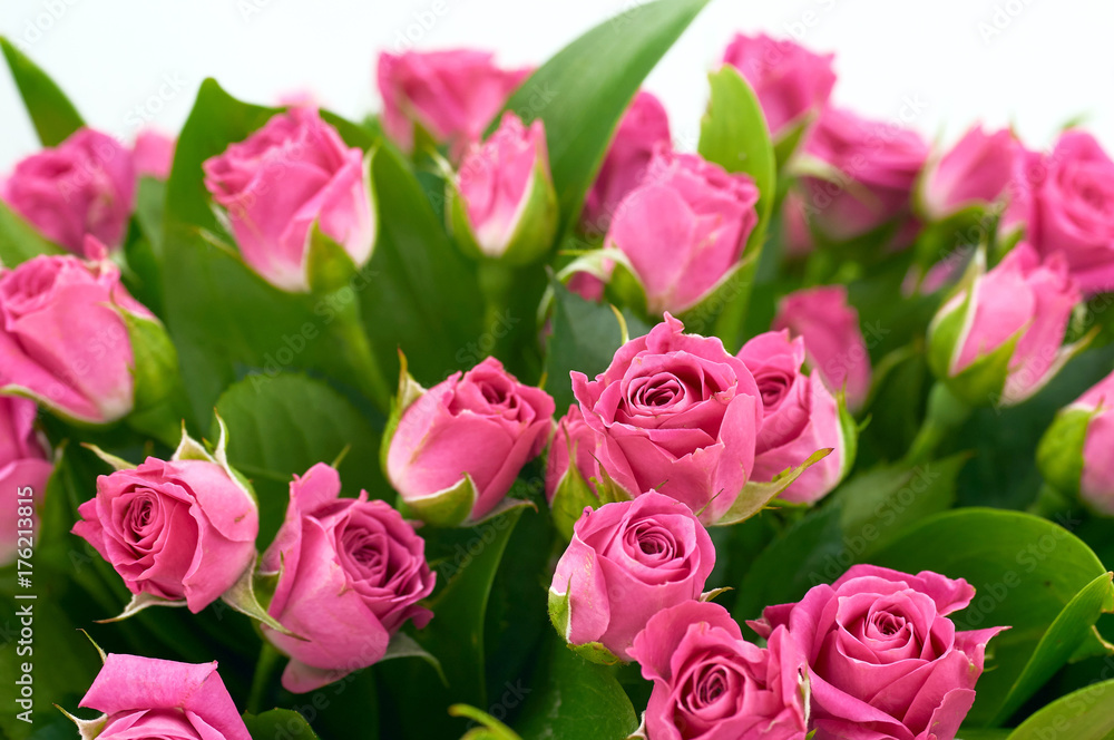 bouquet of roses bouquet of roses