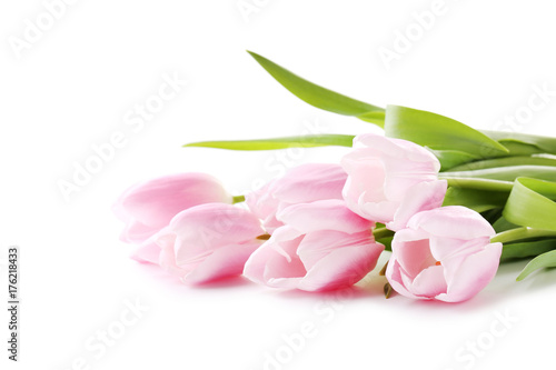 Bouquet of pink tulips isolated on a white