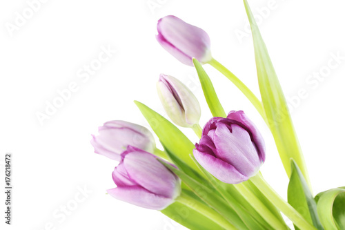 Bouquet of tulips isolated on a white