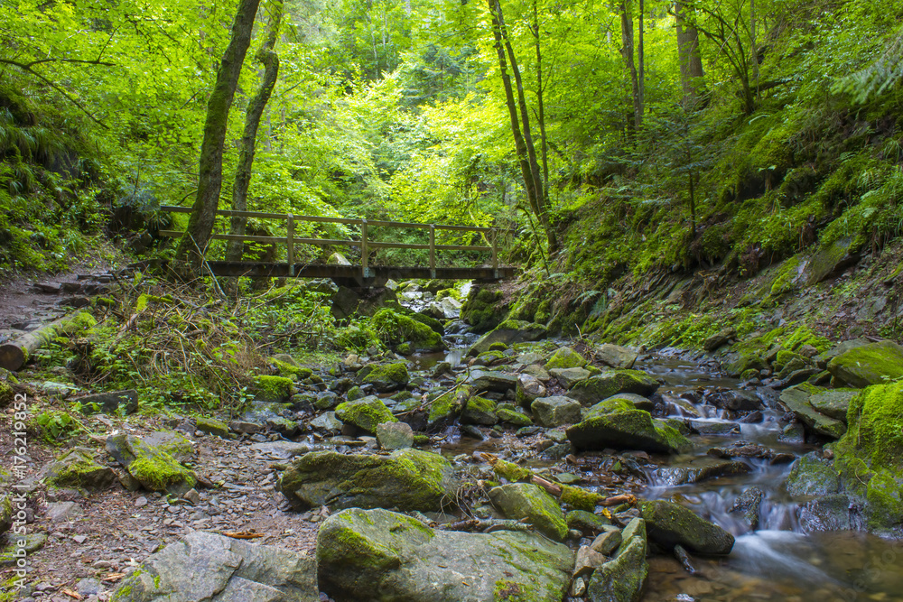 Lotenbach Gorge in Blach Forest, Germany Lotenbach Gorge in Blach Forest, Germany