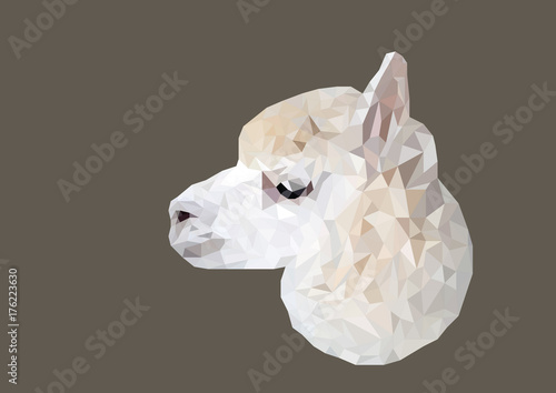 Abstract of Alpaca head shot low poly vector with dark background