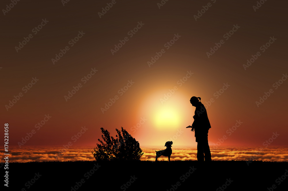 Obraz premium 犬と女性のシルエット