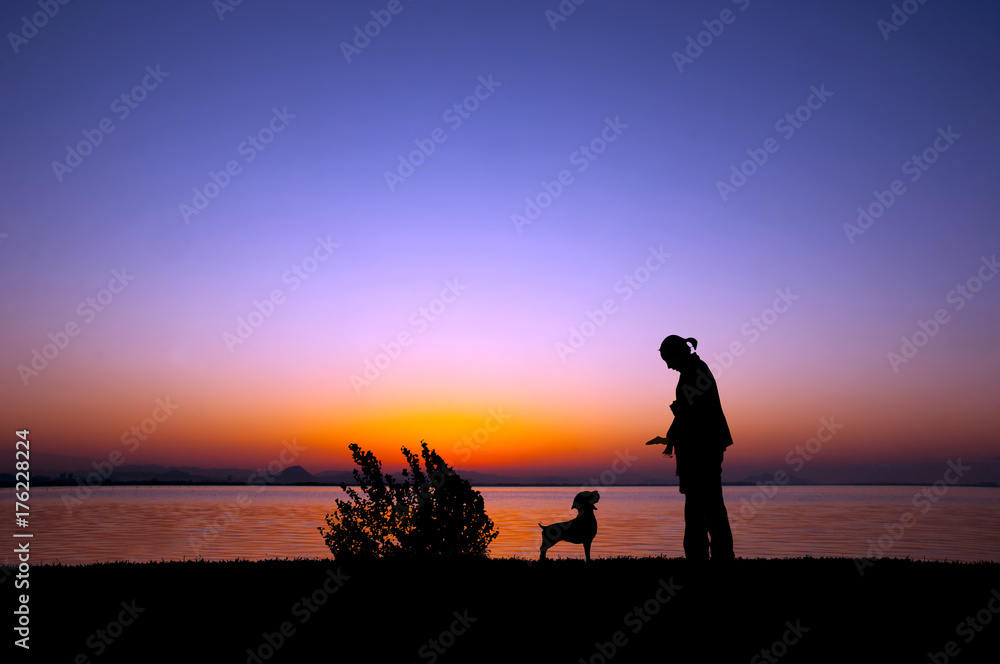 湖畔を散歩する女性と犬のシルエット