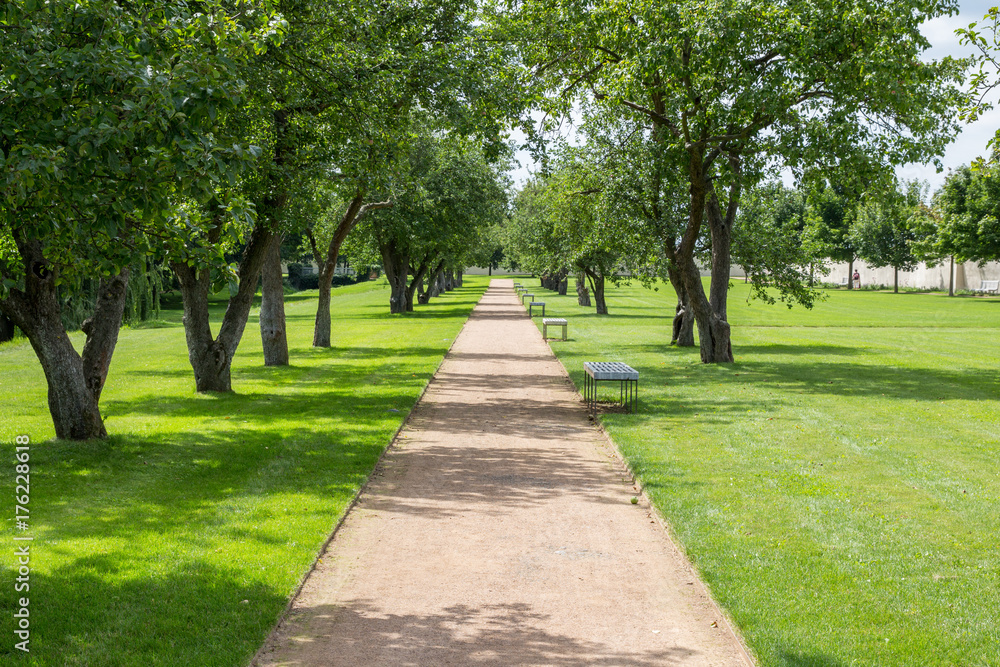Path through the park Path through the park