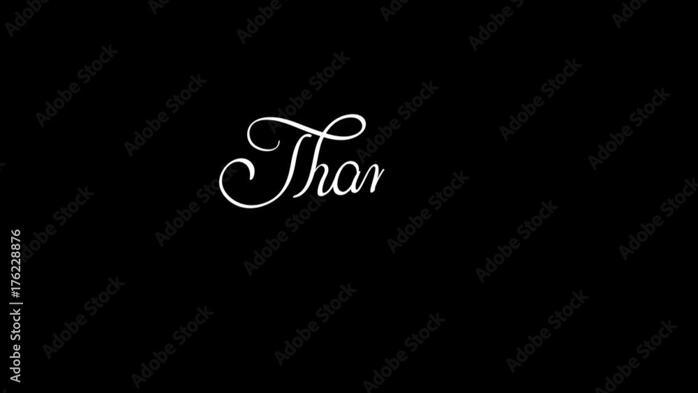 written thank you animation text with PNG alpha channel. Hand drawn Calligraphy lettering illustration written thank you animation text with PNG alpha channel. Hand drawn Calligraphy lettering illustration