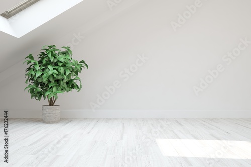 White empty room with flower. Scandinavian interior design. 3D illustration © AntonSh