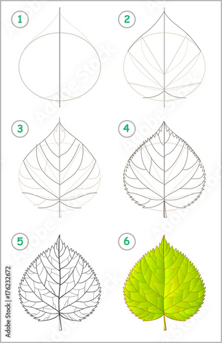 Page shows how to learn step by step to draw a linden leaf. Developing children skills for drawing and coloring. Vector image.