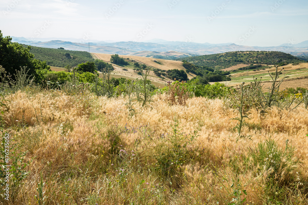 Countryside landscape Countryside landscape