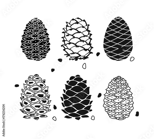 Cedar cone set, sketch for your design