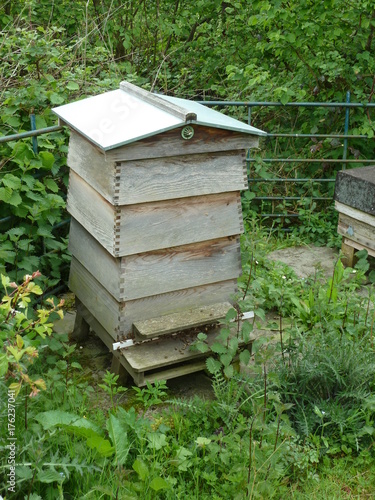 Wooden WBC style bee hive