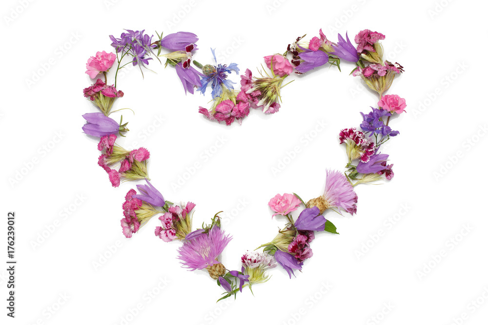 figure in the form of heart isolated on a white background
heart shaped figure lined with flower petals
feelings and emotions
Pink and purple flowers
Flower petals in the pink range