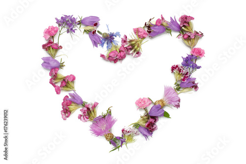figure in the form of heart isolated on a white background heart shaped figure lined with flower petals feelings and emotions Pink and purple flowers Flower petals in the pink range