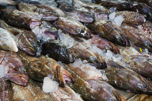 Fresh fish in the market in Thailand