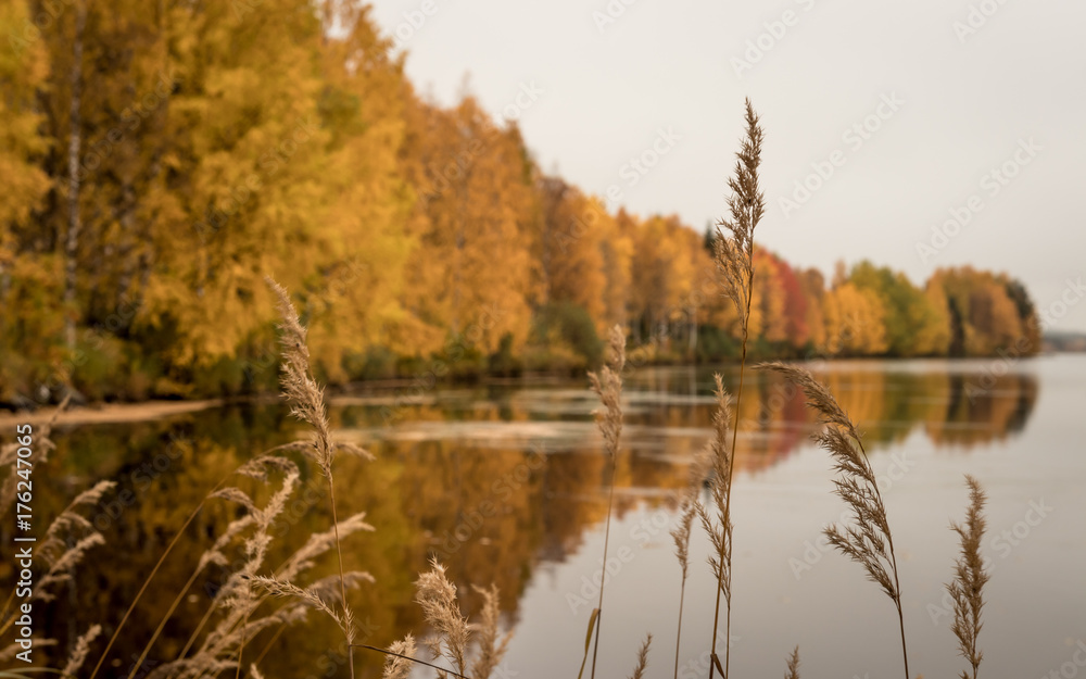 Autumn landscape Autumn landscape