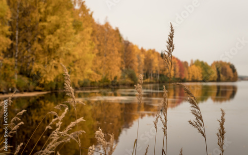 Autumn landscape © Ilkka