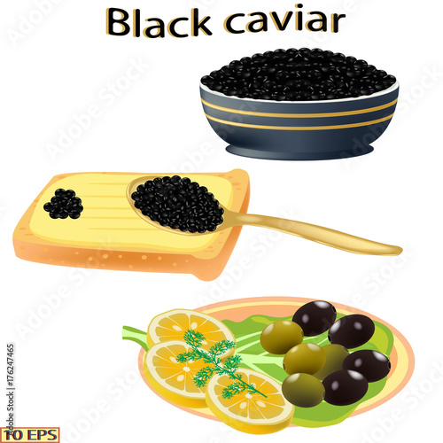 Black caviar. Sandwich with sturgeon caviar isolated on white background.  Vector illustration.