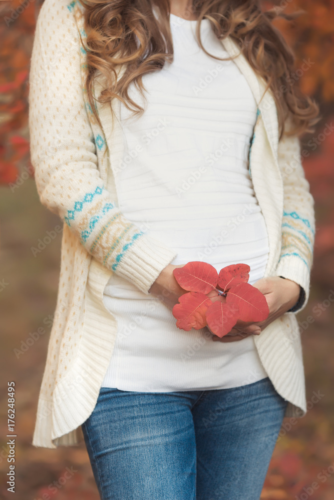 Portrait of young pregnant woman in casual clothes walking in red autumn park Portrait of young pregnant woman in casual clothes walking in red autumn park