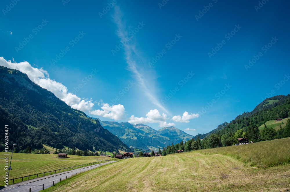 gorgeous scenery view of country road in the Alpines with yellow field in summer