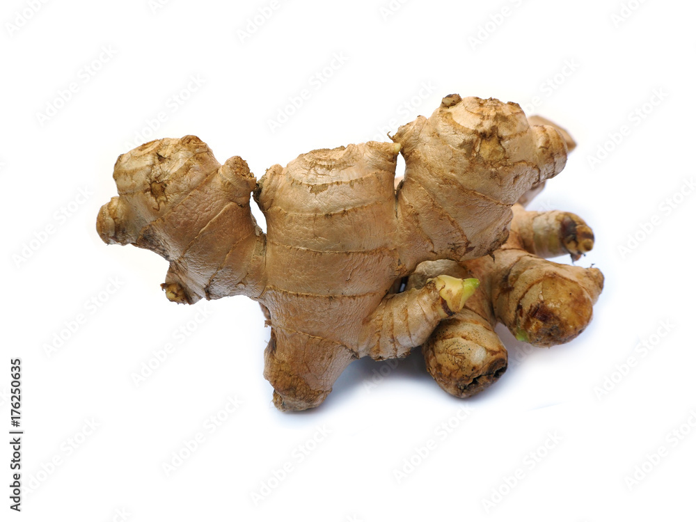 Ginger isolated on white background Ginger isolated on white background