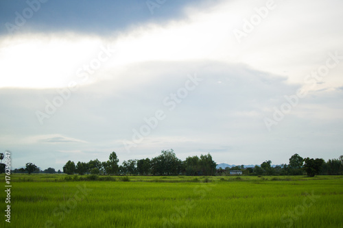 Country and rice thailand