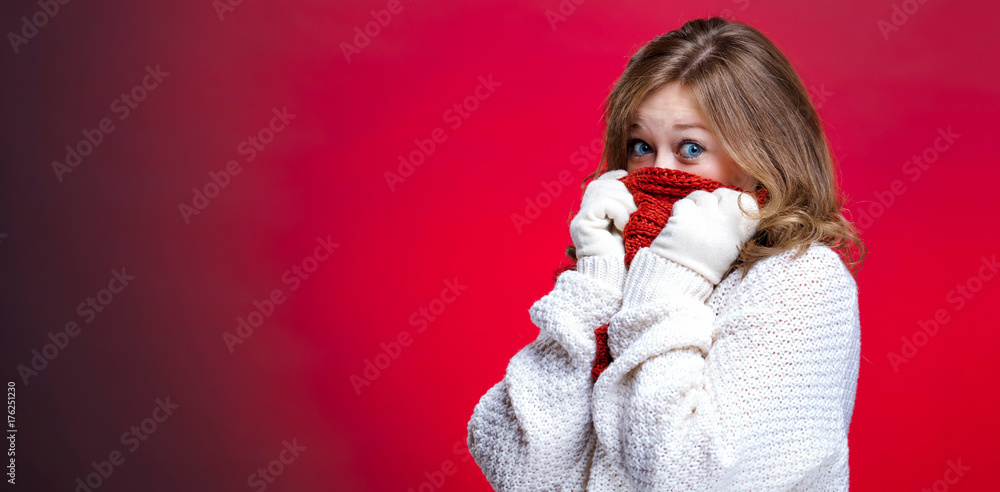 Schöne Frau in Weihnachtsstimmung Schöne Frau in Weihnachtsstimmung
