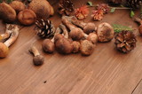 autumn still life mushrooms on a table