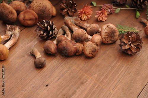 autumn still life mushrooms on a table