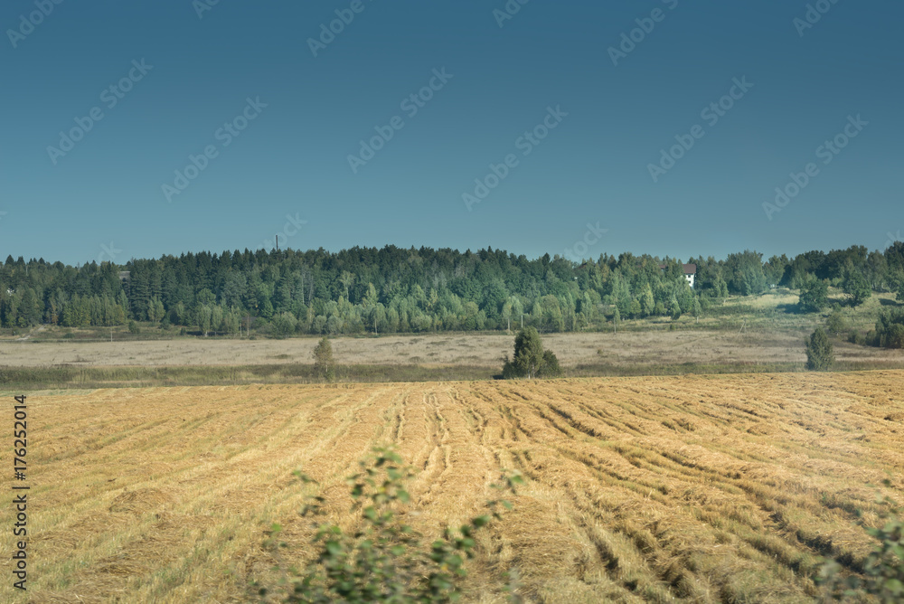Beveled field in autumn. Hay. Straw.