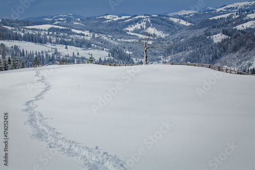 footprints in the snow. Beautiful view. winter season