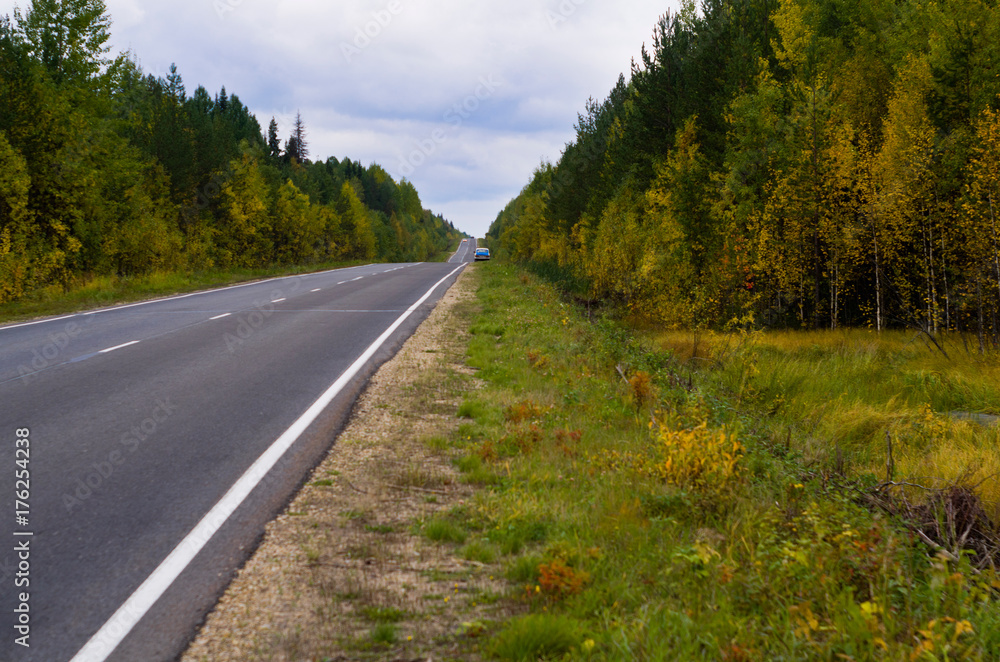 Fototapeta premium Autumn road in the forest