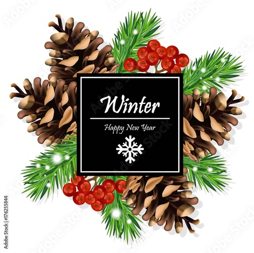 Winter Card Vector. Fir tree branches and viburnum on whites
