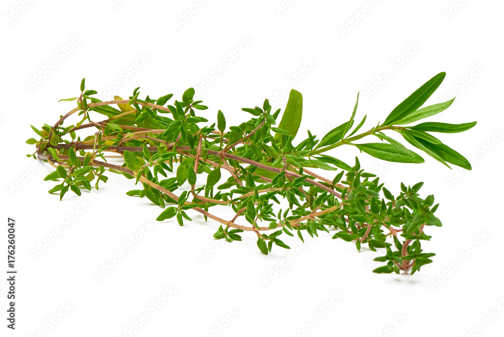 Rosemary, Thyme, fresh herbs isolated on white background Rosemary, Thyme, fresh herbs isolated on white background