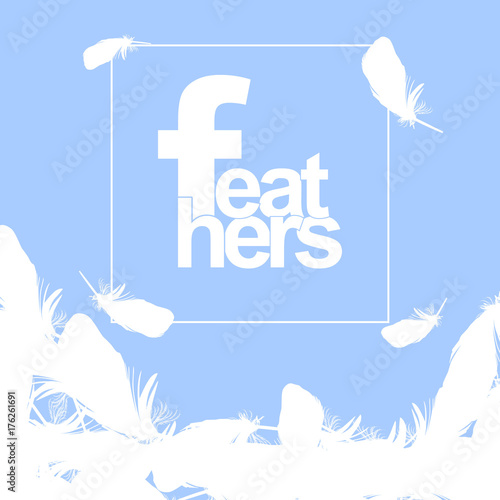 Falling twirled realistic feathers isolated on a transparent background.