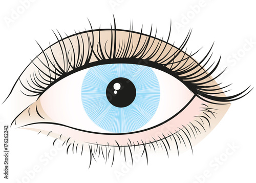 Auge Frau