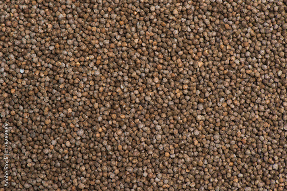 Aroma sesame background, Seed background and texture Aroma sesame background, Seed background and texture