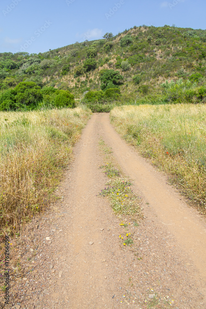 Road in Ajezur with mountain and vegetation Road in Ajezur with mountain and vegetation