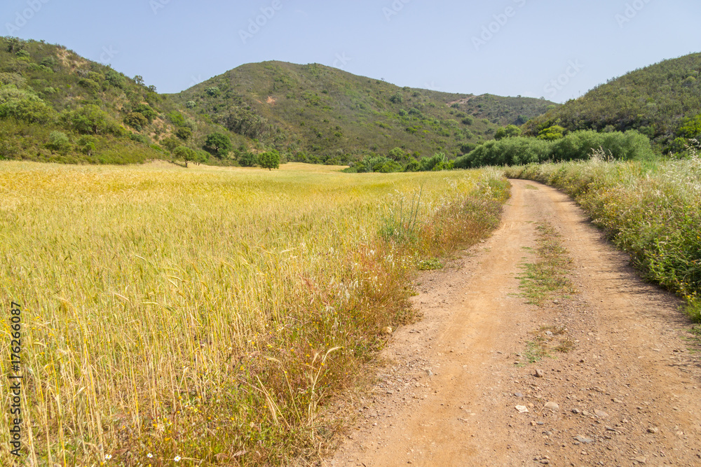 Road in Ajezur with mountain ,vegetation and wheat plantation