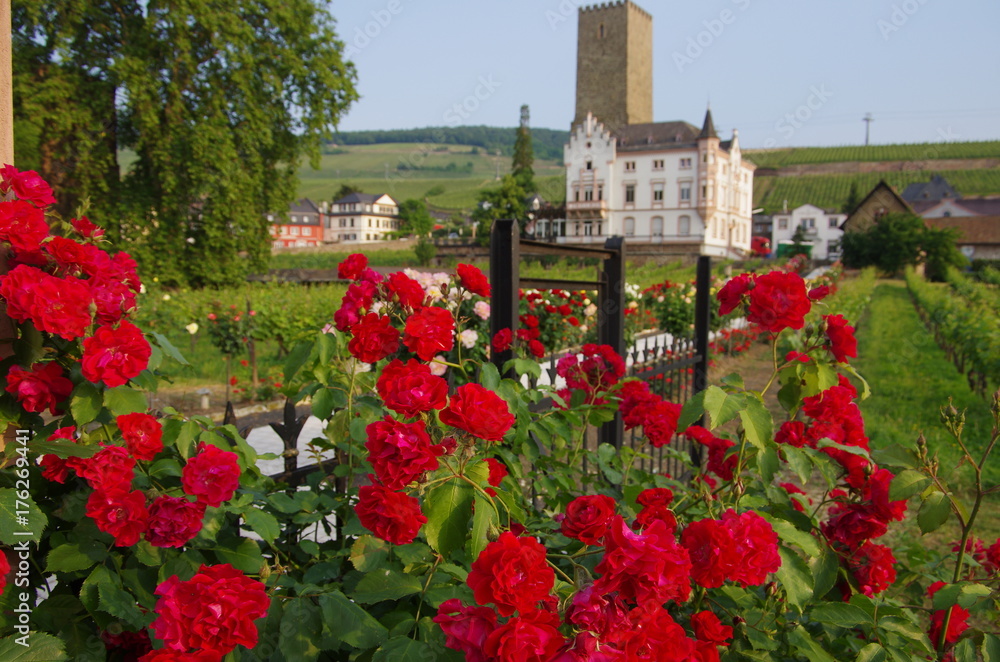 Obraz premium リューデスハイムの風景