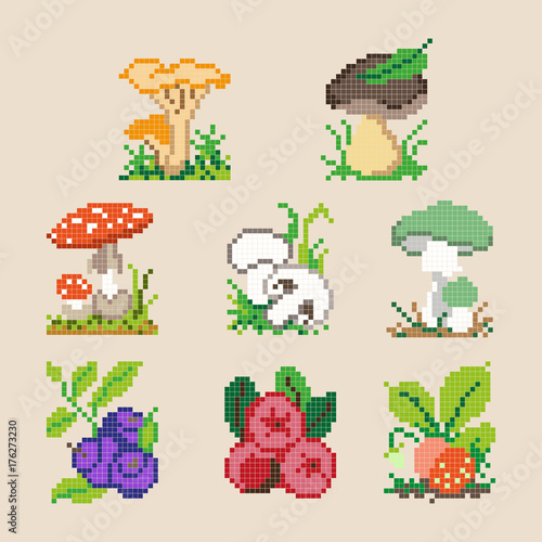 Set of different pixel cartoon berries and mushrooms. Vector illustration © Aglia