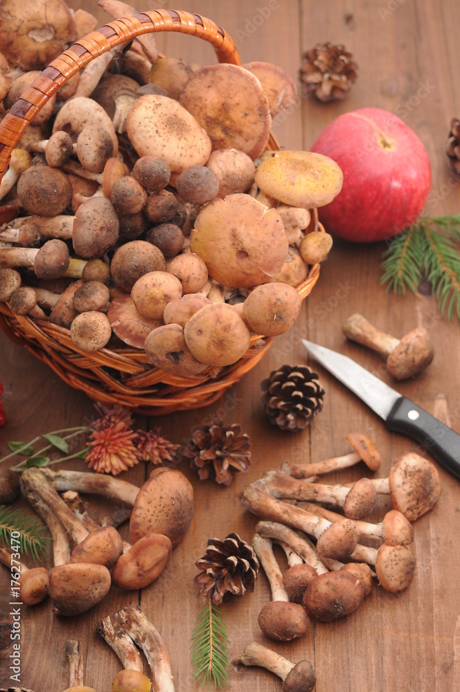 Fototapeta premium autumn still life mushrooms on a table