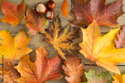 Colorful autumn leaves and chestnuts on wooden table