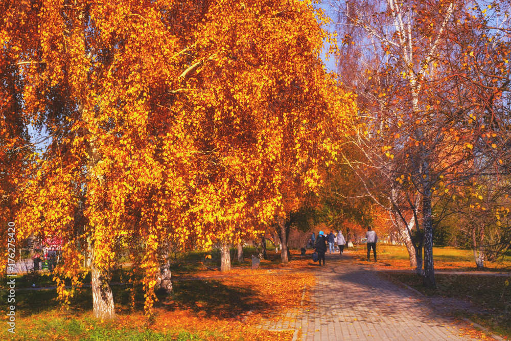 autumn Park with a footpath on a Sunny day