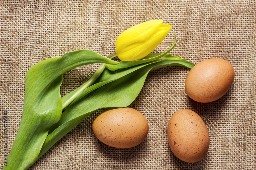 Organic eggs on a linen cloth and a tulip Organic eggs on a linen cloth and a tulip