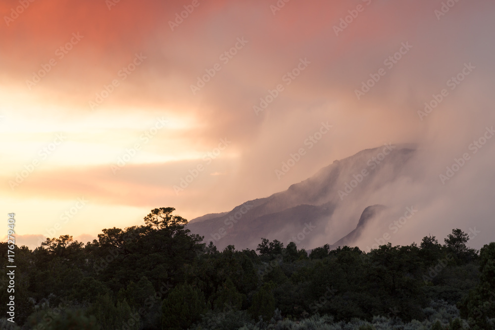 View of distant Pine Valley mountain at sunset with the wind blowing the storm away and trees silhouetted in the foreground