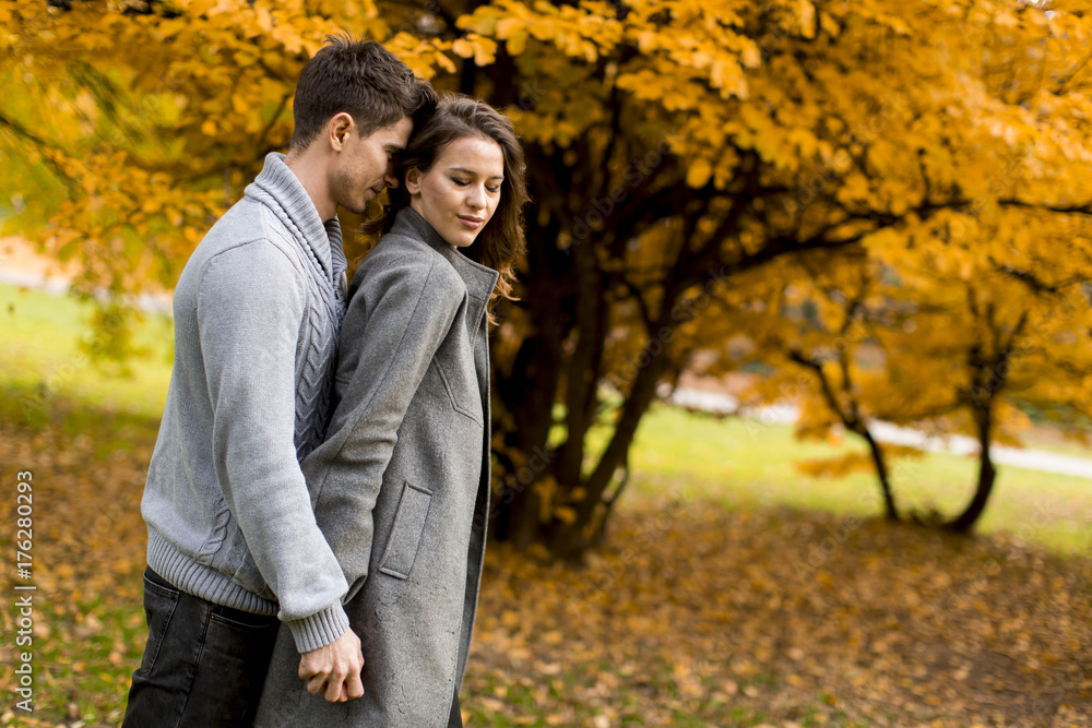 Lovely young couple in the autumn forest Lovely young couple in the autumn forest