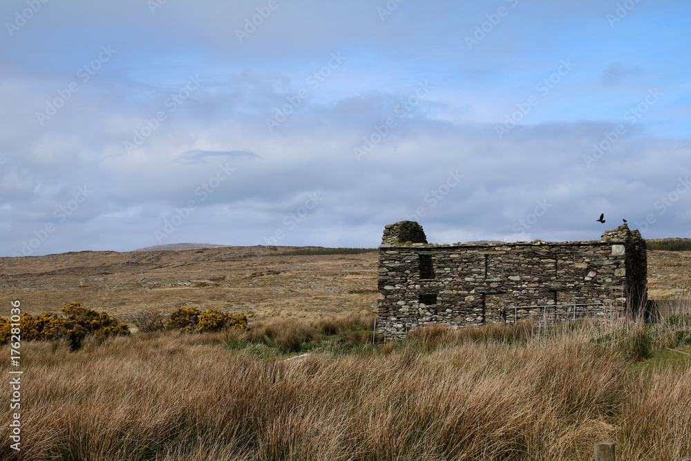 Old stone house in the field, Ireland