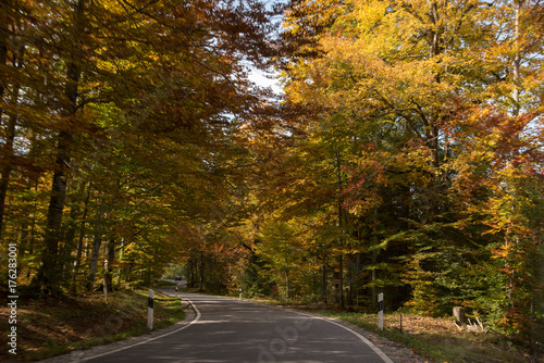 winding run in the autumn atmosphere