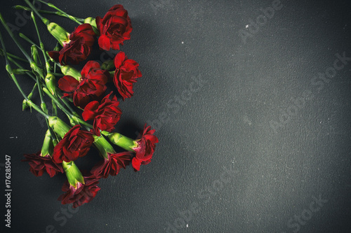 Carnations bouquet on dark background with space for text