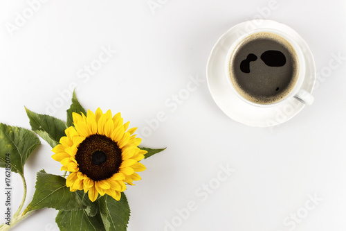 A cup of coffee and sunflower on white with space for text